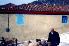 diafores-2