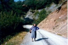 diafores-49